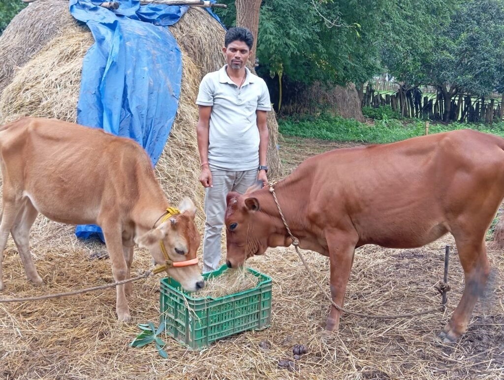 नारायणपुर जिले के रेगांवड निवासी रैनू राम सलाम अपनी डेयरी इकाई में गायों के साथ
