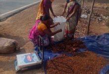 दंतेवाड़ा की महिला किसान उत्पादक कंपनी से जुड़ी महिलाएं और बस्तर के जैविक वनोपज