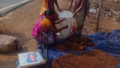 दंतेवाड़ा की महिला किसान उत्पादक कंपनी से जुड़ी महिलाएं और बस्तर के जैविक वनोपज