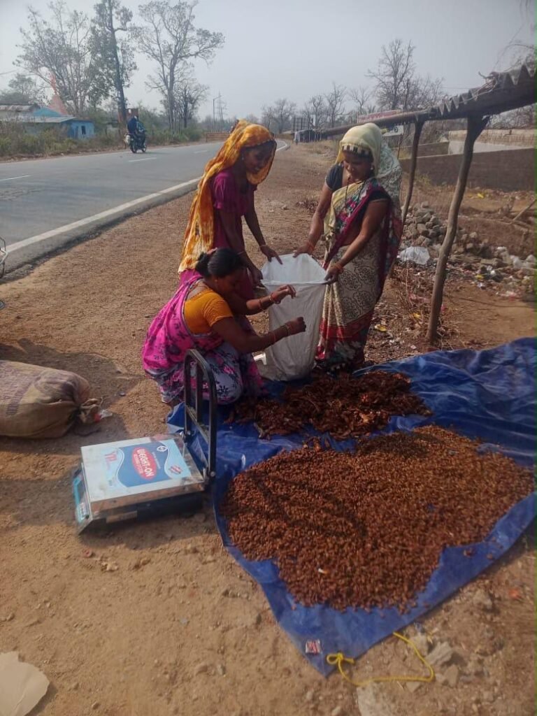 दंतेवाड़ा की महिला किसान उत्पादक कंपनी से जुड़ी महिलाएं और बस्तर के जैविक वनोपज