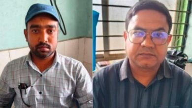 छत्तीसगढ़ में हल्दी बीज वितरण योजना से संबंधित प्रतिनिधि तस्वीर