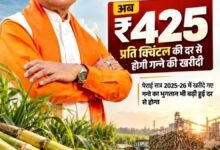 छत्तीसगढ़ में गन्ना किसानों के लिए 425 रुपये प्रति क्विंटल खरीदी दर
