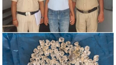 पायलीखंड खदान चोरी मामले में धमतरी पुलिस द्वारा जब्त बहुमूल्य पत्थर
