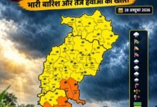 बारिश से बचाव के लिए सुरक्षित रखी गई धान की कटी फसल