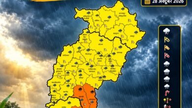बारिश से बचाव के लिए सुरक्षित रखी गई धान की कटी फसल