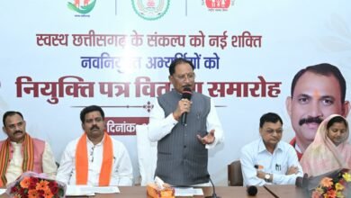 छत्तीसगढ़ राज्य स्थापना दिवस राज्योत्सव समारोह का सुसज्जित मंच